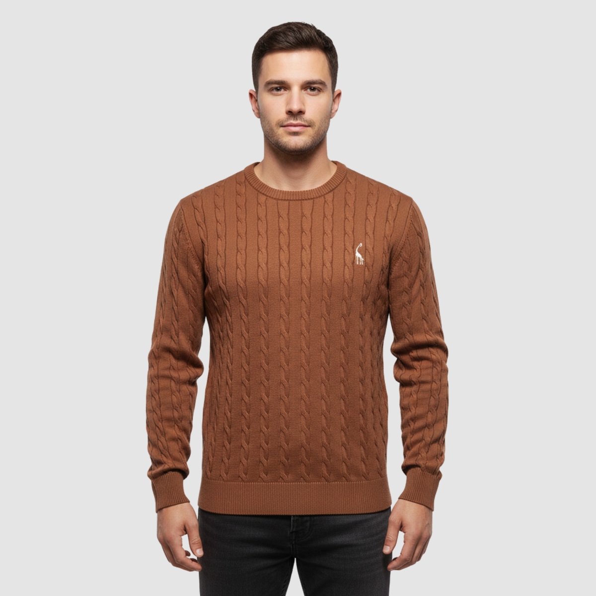 Pull Homme Maille Torsadée – Col Rond Style Polo Chaud | Élégance Casual Automne Hiver